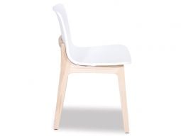 Plastic Wood Chair