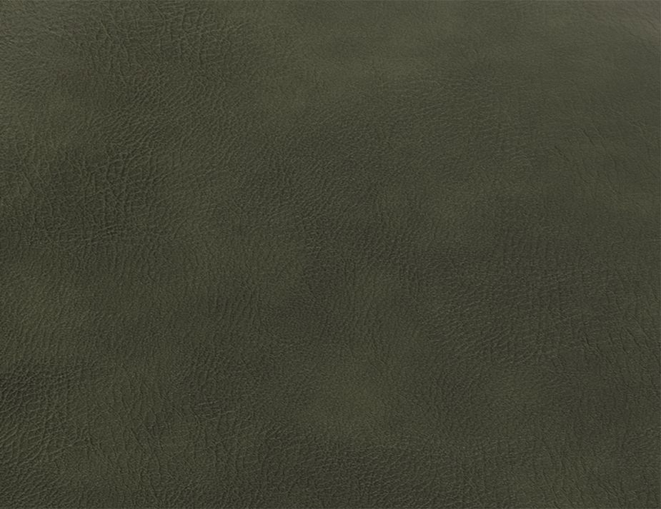 Green Leather Sample