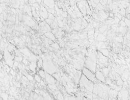 White Carrara Marble Colour