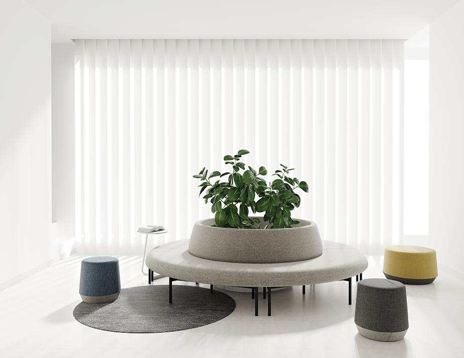 Curve Lifestyle 28