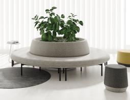 Curve Lifestyle 29