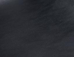Black Leather Sample2