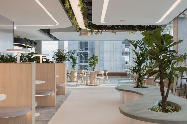 Modern office space with wooden seating, geometric lighting, and overhead greenery