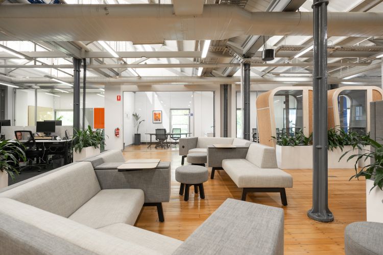 An office lounge area surrounded by green potted plants and various seating areas.