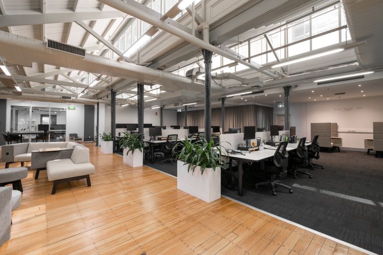 A contemporary office space illuminated by natural light from large windows and skylights, showcasing wooden flooring transitioning to carpeted areas.