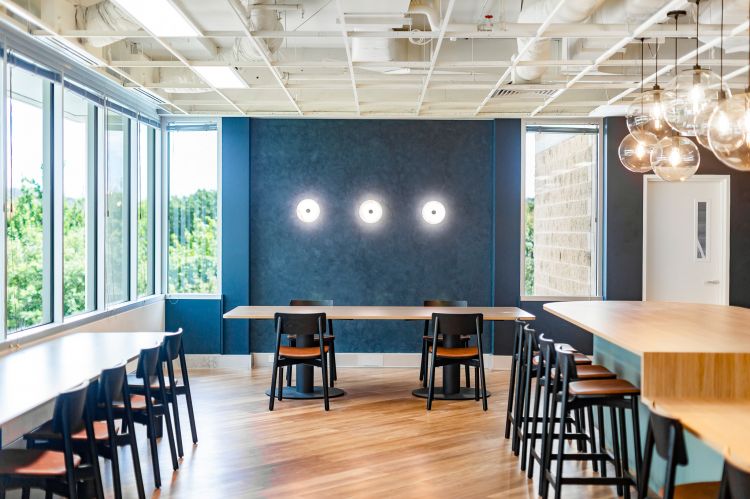 Contemporary office dining space featuring large windows that flood the room with natural light, showcasing a scenic view of lush green trees.