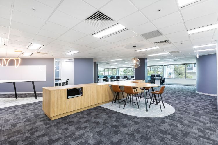 Spacious modern office interior featuring a neutral color palette with patterned gray carpeting, a white ceiling with recessed lighting, and large windows letting in natural light.