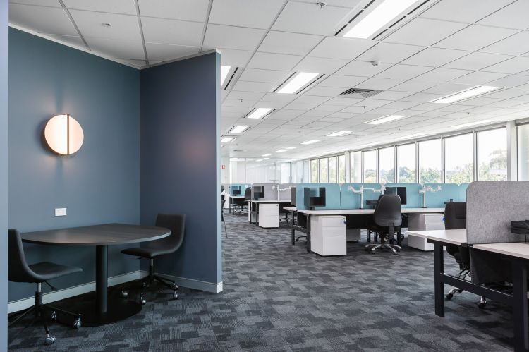 Contemporary office space featuring deep blue accent walls and a minimalist round wall light.