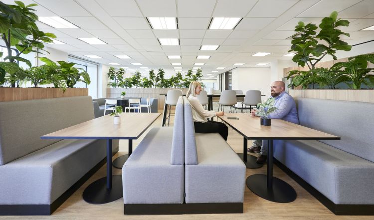 Spacious office cafeteria with large windows allowing natural light. 