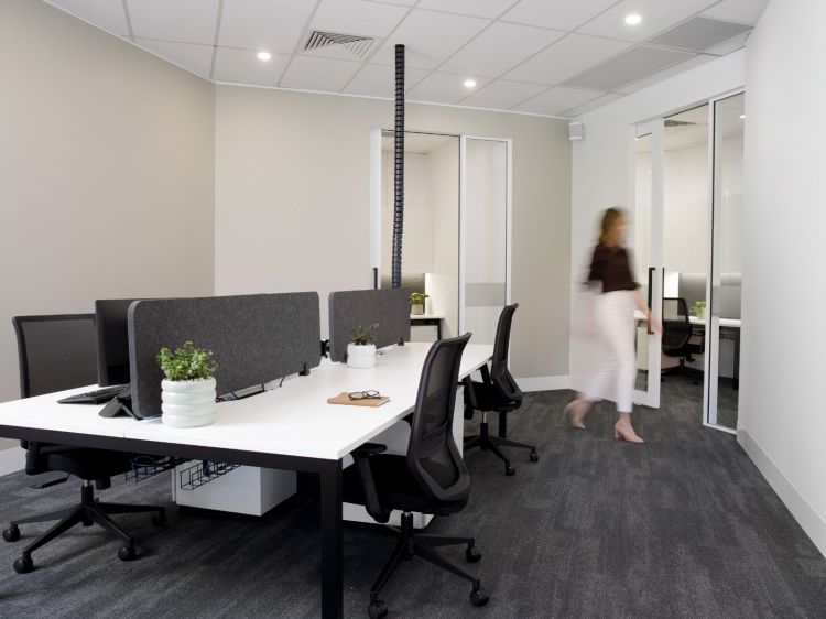 A modern office space featuring individual workstations with gray dividers, each adorned with a potted plant.