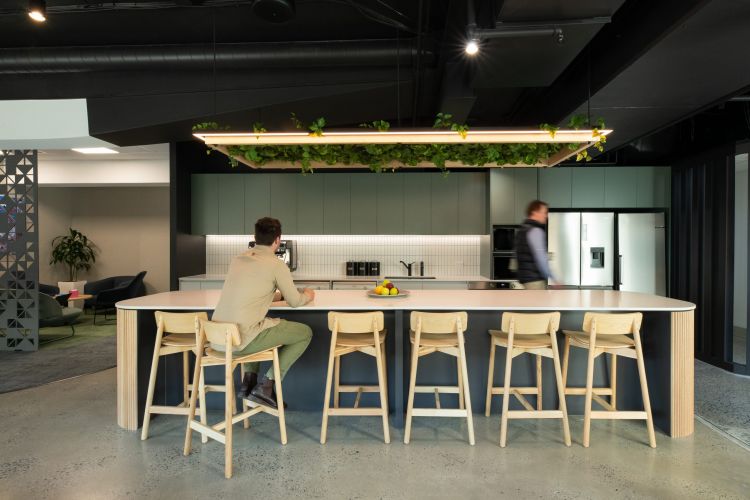 A contemporary kitchen area with a large oval island and wooden bar stools, surrounded by modern appliances and decor.