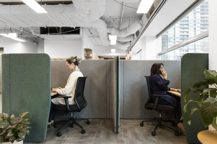 An office space with individual workstations separated by high green fabric dividers. Two women are working at their desks.