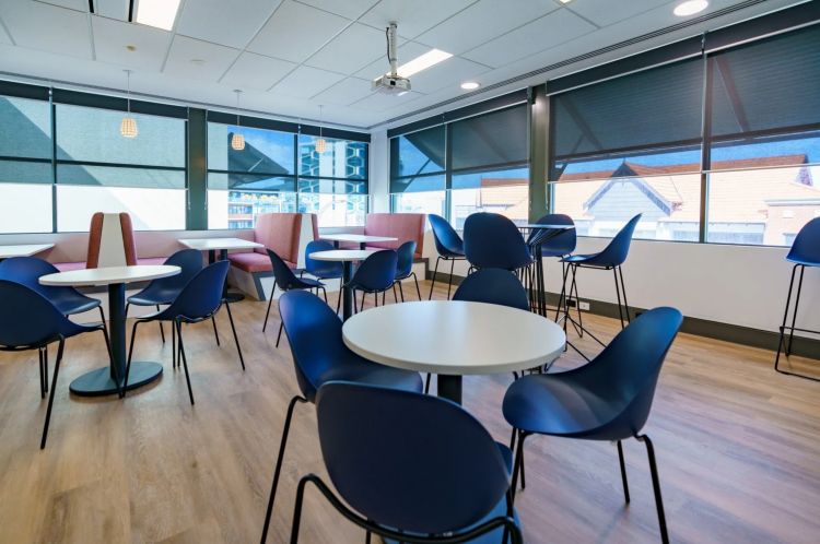 Office dining area with white tables, blue chairs, and pink booths by the window with pendant lights above