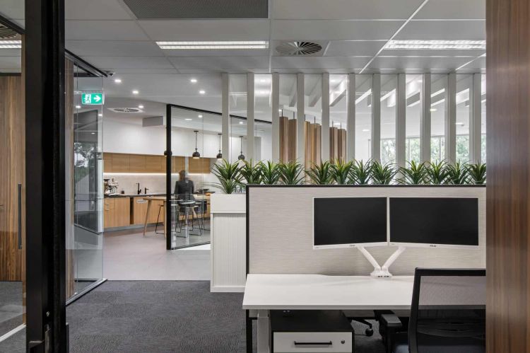 Modern office area with dual-monitor workstation, kitchenette, and a row of indoor plants behind glass partitions.