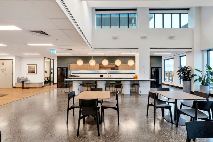 A well-lit office break area with high windows, globe pendant lights, a kitchenette with bar seating, and multiple dining tables with chairs, featuring a mix of clean lines and warm wood tones.