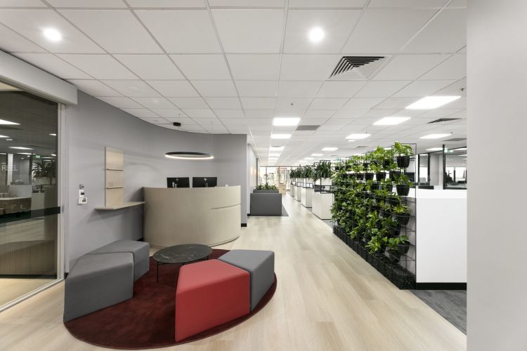 An office reception area with geometric seating, a circular rug, ambient lighting, and a wall of green plants.