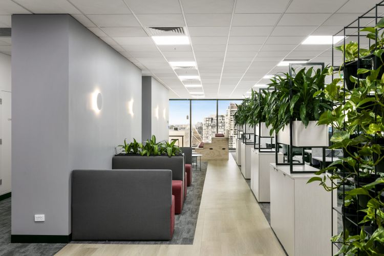  Modern office corridor with plush seating, wall-mounted lights, and lush greenery atop filing cabinets, leading to a window with a cityscape view.
