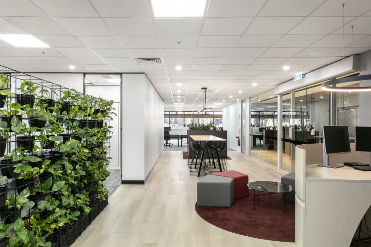 Open office layout with a plant wall divider, communal table with black chairs, and a reception desk, under bright ceiling lights.