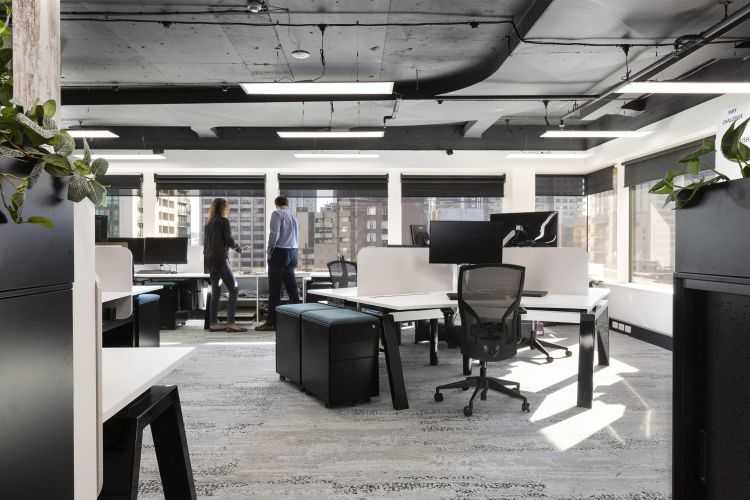 An office workspace with desks and computers, plenty of natural light, and people having a conversation by the windows.