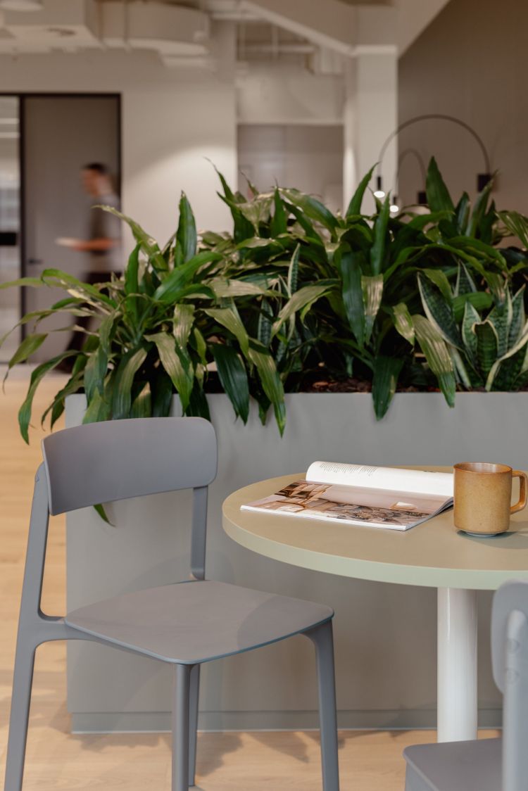 Notion Dining Chair
