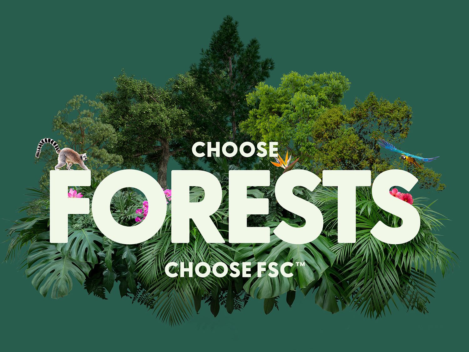 Choose FSC logo