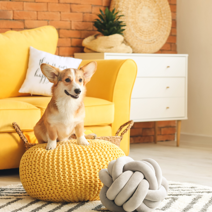 yellow ottoman.