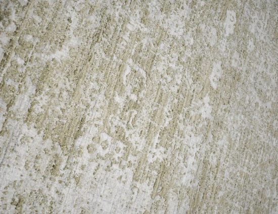 Vn80 Ivory Beige 0000 Regency VN80 Ivory Beige 02 The Rug Collection