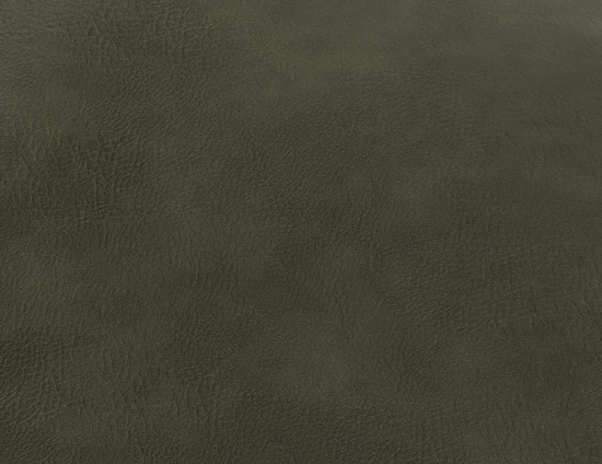 Green Leather Sample