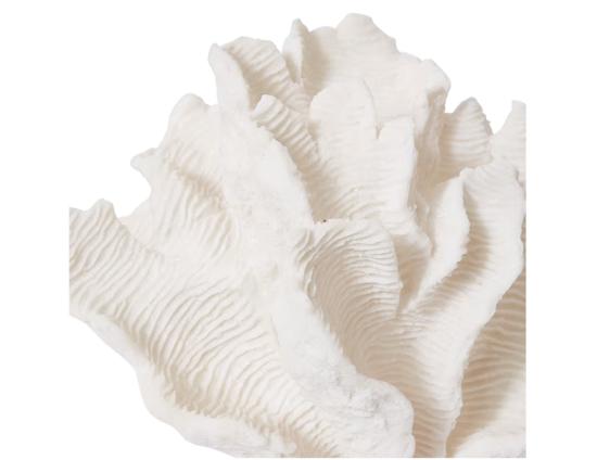 Coral Lamp Web Ready 3