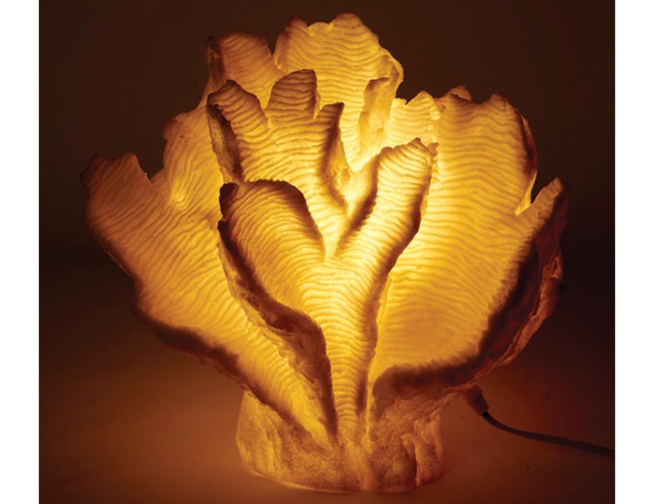 Coral Lamp Web Ready 2