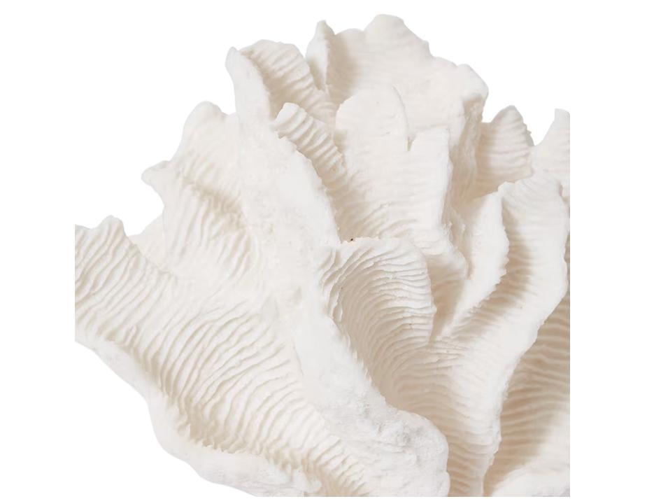 Coral Lamp Web Ready 3