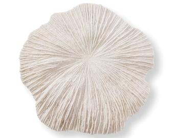 Sea Coral Wall Décor