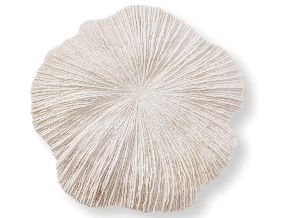 Small Sea Coral Web Ready 2